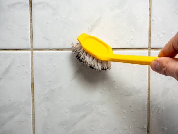 Best Fast Mold Removal  in Prairie Creek, AR