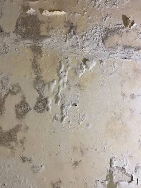 Water Damage Restoration in Prairie Creek, AR