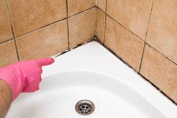 Best Mold Testing  in Prairie Creek, AR